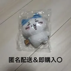 ちいかわ　ガチャ　ぬいぐるみBIG ハチワレ