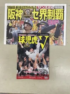 阪神タイガース 2025年リーグ優勝特別版＆特集縮刷版