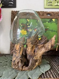 流木ガラス オブジェ大XL花瓶 金魚鉢 ガーデニング テラリウム 観賞魚
