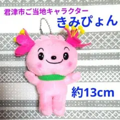 君津市マスコットキャラクター　きみぴょん ぬいぐるみ ゆるキャラ ご当地キャラ 君津市マスコットキャラクター きみぴょん ぬいぐるみ ゆる