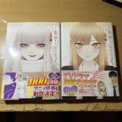 その着せ替え人形は恋をする　13 14 巻　特装版