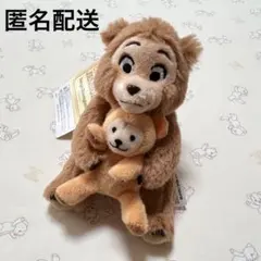 東京ディズニーランド　カントリーベア　白タグ旧デザイン　当時物　日本製ぬいぐるみ 東京ディズニーランド カントリーベア 白タグ旧デザイン 当時物