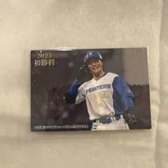 カルビー プロ野球チップス 清宮幸太郎 FW-06