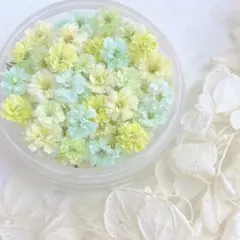 おさるさん様 リクエスト 2点 まとめ商品