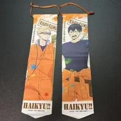 月島・影山 ペイントスーツガーランド