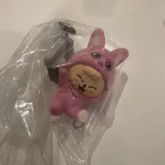 Stray Kids スキズ SKZOO つまつなvol.2 パピム