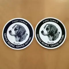 Item thumbnail for item 974c79aa-8064-47d4-bb70-a2a696d5fc14