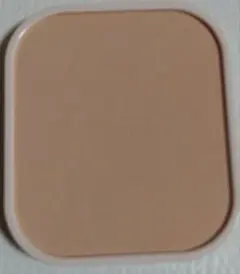 Item thumbnail for item d70e66a0-4ebc-4469-ba55-fb8af01c9ec5