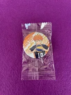 日向翔陽 缶バッジ 10 ハイキュー!!