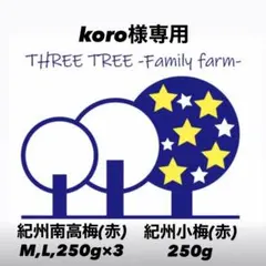 koro様専用! 紀州南高梅(赤)M,L250g×4紀州小梅(赤)250gのサムネイル