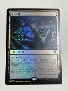 湿った墓 foil エクスペディション mtg 湿った墓 エクスペディション foil Amazon.co.jp: MTG 湿っ