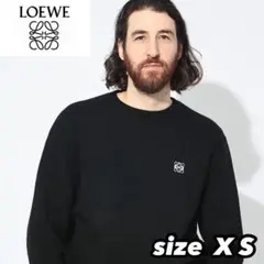 ロエベ　クルーネックニット　セーター　グレー　M セーター（ウール） グレー - LOEWE