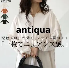 アンティカ　フライスメロートップス　ロンTのサムネイル