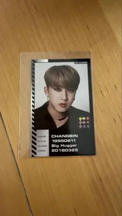 スキズ noeasy トレカ チャンビン