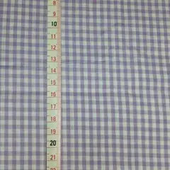 シーチング ギンガムチェック 約110cm×80cm(11cmほど切れ込みあり)