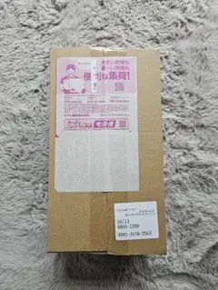 ポケモンカードゲーム スペシャルBOXポケモンセンタートウホク