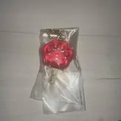 ズートピアアイスキャンディーチャームガチャ☆