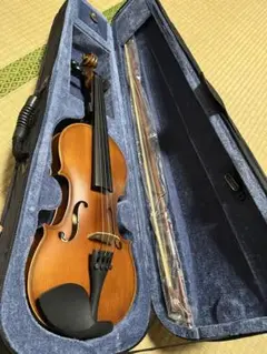 2025年最新】VIOLINの人気アイテム - メルカリ