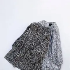 Item thumbnail for item 16083d98-45f9-402a-ae30-cd77f16ac178