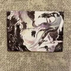 meruSDM様 リクエスト 2点 まとめ商品