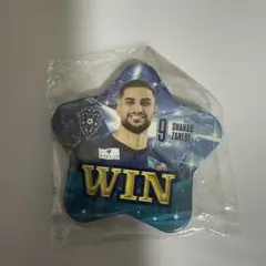 アビスパ福岡 シャハブ ザヘディ 選手 応援グッズ 勝利缶バッジ レア