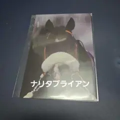 2026年最新】サラブレッドカード ナリタブライアンの人気アイテム