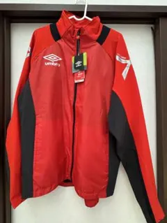 Item thumbnail for item 261c0f4f-3c35-4904-b129-30e804bf7e1a