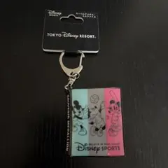 東京ディズニーリゾート キーホルダー