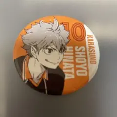 2025年最新】日向翔陽缶バッジの人気アイテム - メルカリ