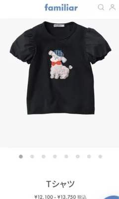 ファミリア100 現行品