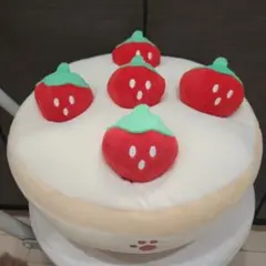 ペットパラダイス　ノーズワーク　苺ケーキのサムネイル