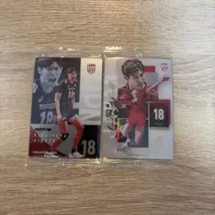 バレーボール男子日本代表 ウエハース　西山大翔 プラスチックカードセット
