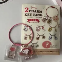 スヌーピー シークレット 2チャームキーリング