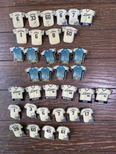 埼玉西武ライオンズ ピンバッジ セット 35個