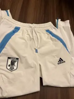 日本代表 ピステ