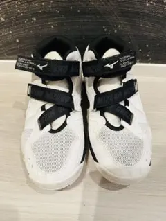 Item thumbnail for item 0ee26e62-830c-4596-b9cc-223983e222a5