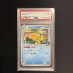 【PSA10】コダック ジムプロモ しめりけ 262/SV-P