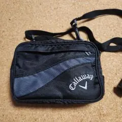 Item thumbnail for item b2782a64-cc23-40fd-8cc2-0147f5fd4aa2