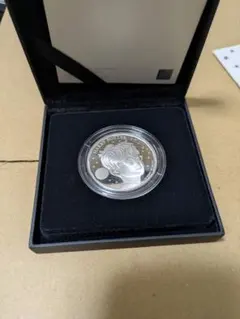 ロイヤルミント ロビンフッド 1オンス銀貨プルーフ - メルカリ