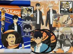 ハイキュー！！グッズ烏野（ほぼ影山・月島）24点セット