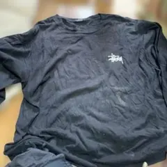 Stüssy グラフィックプリント Tシャツ L ブラック