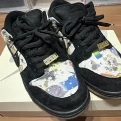 Supreme × Nike SB Dunk Low 