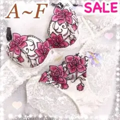 クラシックピオニー♥️全2色♬ブラショーツセット✨ワコール系リサマリ系