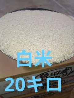 令和7年産 訳あり米(白米・中米・割れ米)24㎏ ☆数量限定残りわずか☆ 令和7年産 訳あり米(白米・中米・割れ米)24㎏ ☆数量限定残りわずか