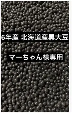 マーちゃん様専用