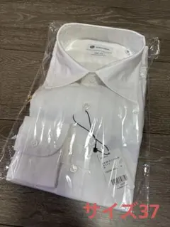 Item thumbnail for item aaed8e37-f1ff-4c07-8134-a11c58277503