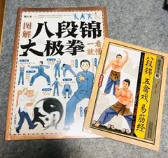 中華国術 太極拳教材 陳冸嶺 貴重本 - メルカリ
