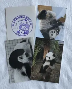 Item thumbnail for item a7a0f9ee-738a-4383-88ff-9de45b6e1c47