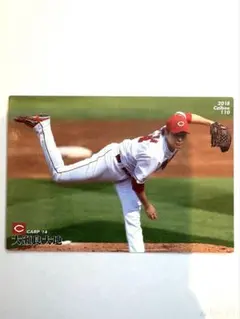 【即日発送】2018 カルビー 大瀬良大地 トレーディングカード