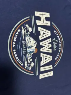 GILDAN HAWAII プリント Tシャツ ネイビー Mのサムネイル